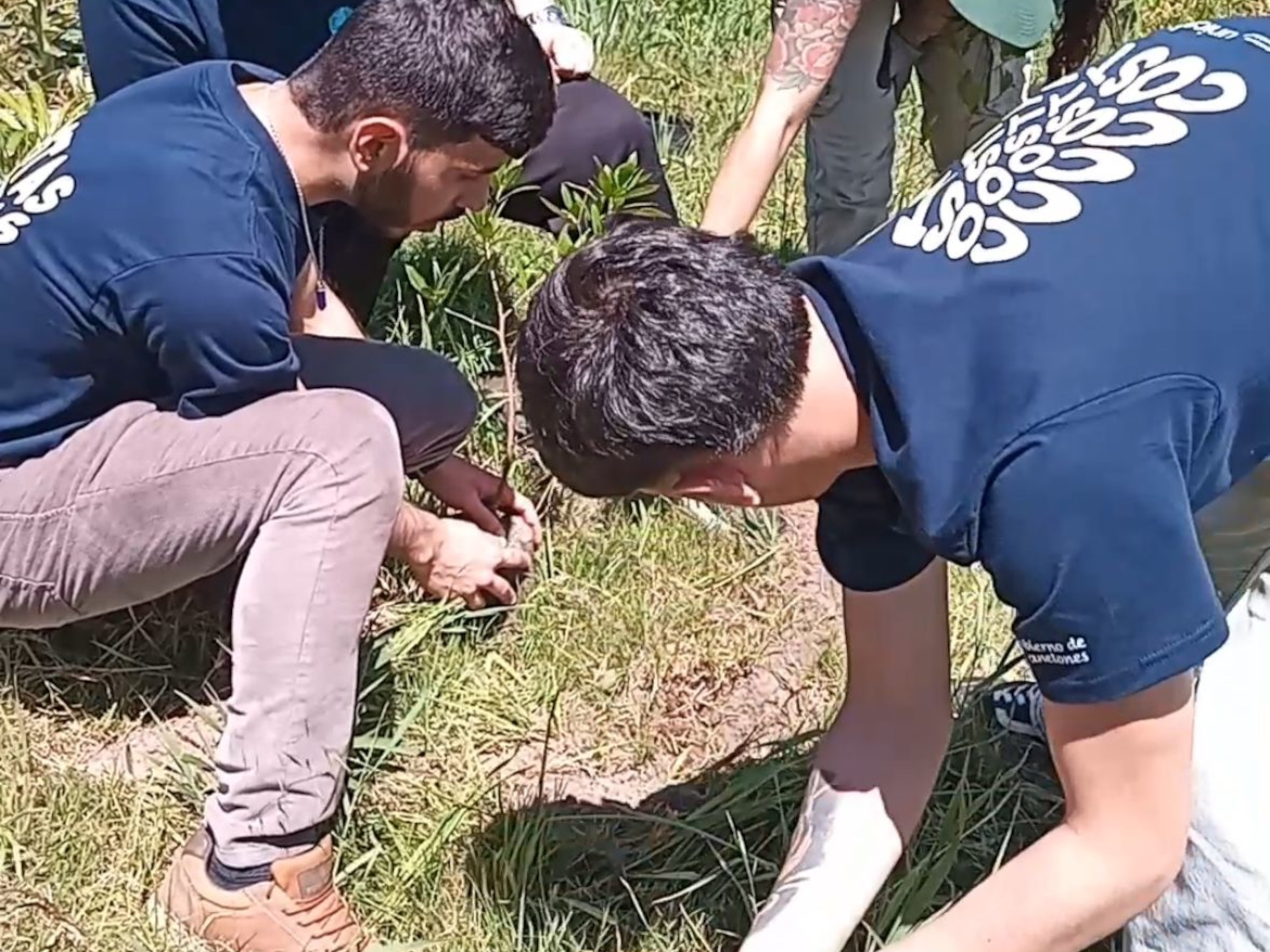 Talleres de Acción Climática Joven 2024 en costas canarias