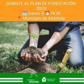 Plan de Forestación